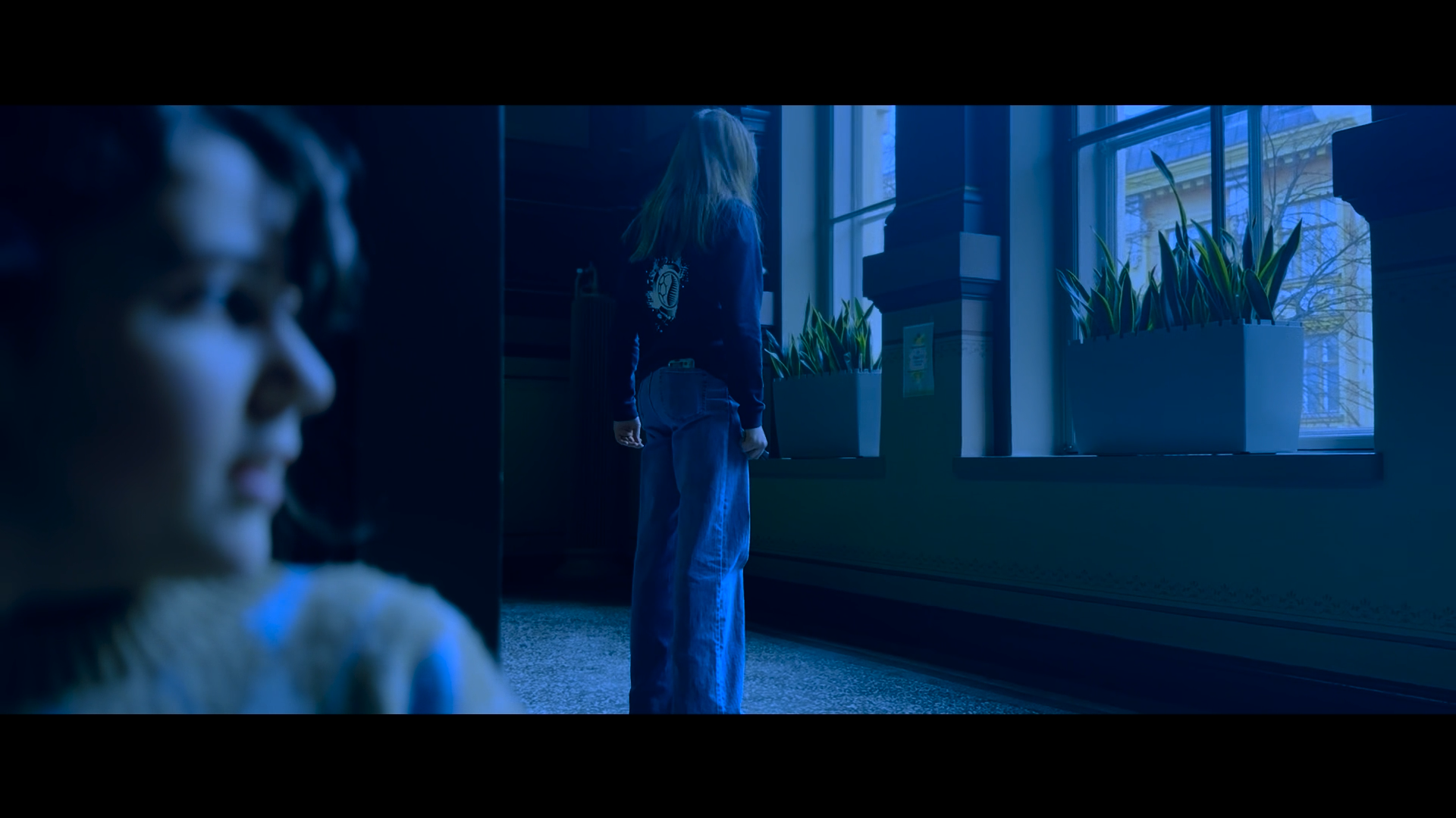 The Curious Incident of the Dog in the Night-time - Image 2